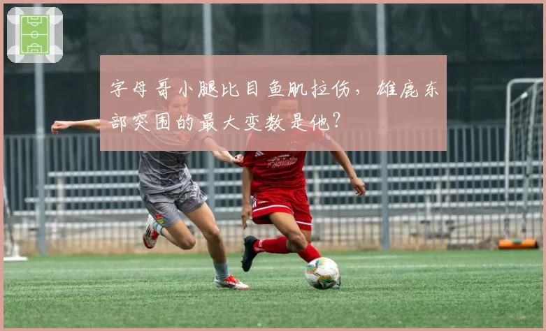 字母哥小腿比目鱼肌拉伤，雄鹿东部突围的最大变数是他？