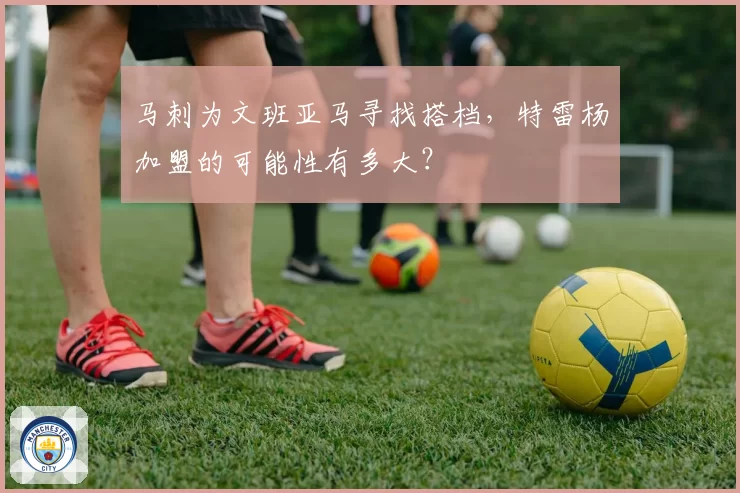 马刺为文班亚马寻找搭档，特雷杨加盟的可能性有多大？