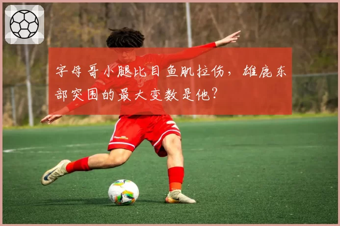 字母哥小腿比目鱼肌拉伤，雄鹿东部突围的最大变数是他？